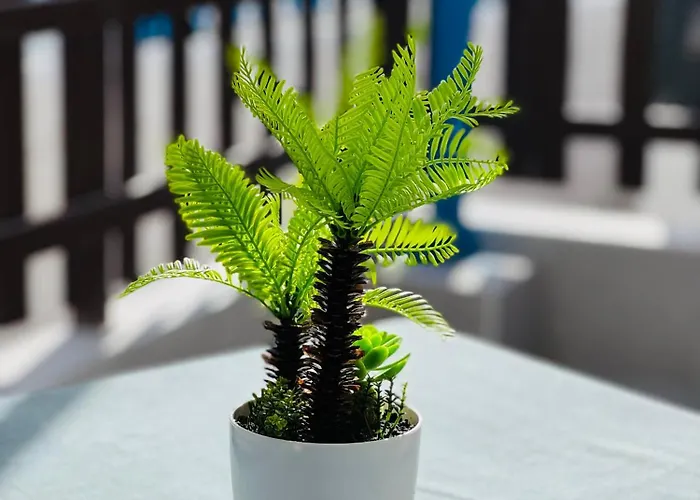 Simone Διαμέρισμα *